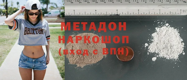 шишки Лабытнанги