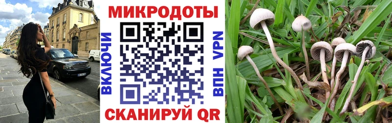 Галлюциногенные грибы Magic Shrooms  купить наркотик  Хадыженск 